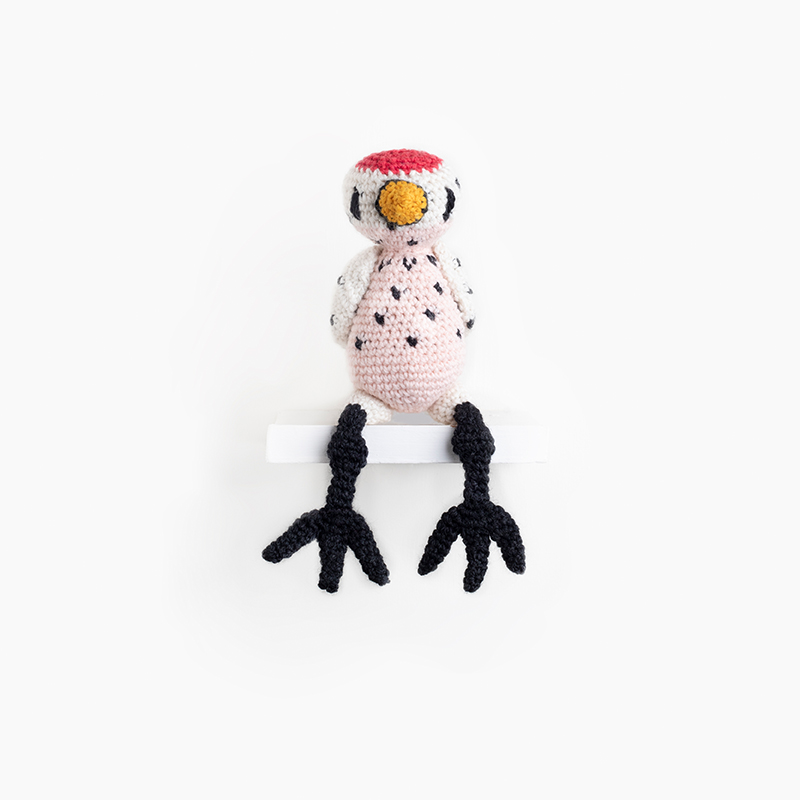 Marianne the Fruit Dove